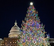 USA CAPITOL CHRISTMAS TREE