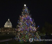 Capitol Christmas Tree Lighting