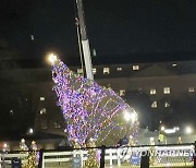 US White House Christmas Tree