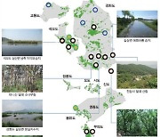 인천시 섬지역 60% 생태가치 우수…현황지도 9년만에 작성