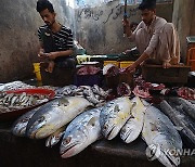 PAKISTAN FISH MARKET