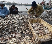 PAKISTAN FISH MARKET