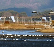 제주 최대 10㎝까지 눈 내려…영하 10도 맹추위[내일날씨]