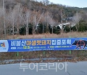 안성시, 멧돼지 포획 위해 '비봉산 탐방로' 통제