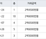 수원 정자동 정자동신1차 56㎡ 2억6000만원에 거래