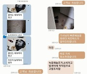 소스 샜다고 복도에 음식 패대기친 손님…사장은 울었다