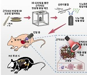 사람 살리고 암세포만 겨냥…'항암 총알' 3D 프린터로 만든다