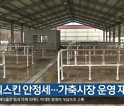 럼피스킨 안정세…가축시장 운영 재개