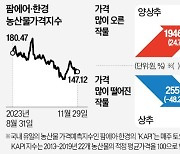 겨울과일 딸기·감귤 가격 상승…지난 여름 악천후에 작황 타격