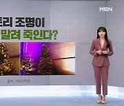 [사실확인]연말 앞두고 형형색색 화려한 트리 조명…나무 말려 죽인다?