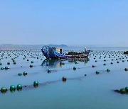 [PRNewswire] Xinhua Silk Road: Rongcheng pursues green marine development