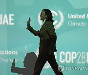 COP28 Climate Summit