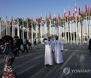 COP28 Climate Summit