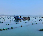 [PRNewswire] Xinhua Silk Road: 산둥성 룽청시, 친환경 해양 개발 추진에 앞장
