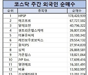 코스닥 외국인 순매수 1위 ‘HPSP’