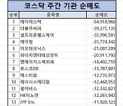 코스닥 기관 순매도 1위 ‘에이에스텍’