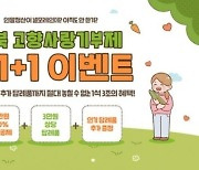 연말정산 시즌 노린다…충북, 고향사랑기부제 이벤트 풍성