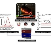 고분자 광학 필터 통한 초저잡음 적외선 양자점 광검출기 핵심기술 개발