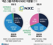 넥슨 지주사 지분 29.3% 시장 풀린다…주가 영향 가능성은 낮아