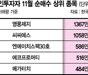 박스피 장세에 단기차익 노린다... 테마주·신규주 '단타개미' 활개