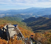 함양 관광 선두주자 '함양대봉산휴양밸리', 매출 20억 원 돌파