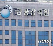 금감원, '회계현안 설명회' 개최…"내년 감독방향 공유"