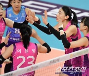 개인통산 7번째 MVP, '18년 차' 굳건한 배구 황제…"한 턱 쏴야죠"