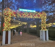 전남 유일 크리스마스 축제 '담양 메타뮤직페스티벌'에서 EDM 공연과 흥겨운 파티를!