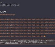 챗GPT에 ‘같은 단어 반복하라’ 했더니…