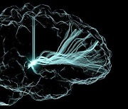 외상성 뇌 손상 환자 뇌에 전극 꽂으니…“인지 능력 개선됐다”