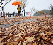 [내일날씨] 당분간 포근...오후부터 밤사이 전국 한때 비