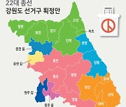 강원 선거구 8석 유지…속초·철원·화천·양구·인제·고성 6개 시군 통합 공룡선거구 제시