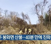 나주 봉화면 산불…40분 만에 진화