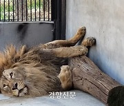 동물원의 동물학대 없어질까···동물원·수족관 허가제로 바뀐다