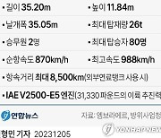 [그래픽] 군 대형수송기 2차 사업 기종 C-390 제원