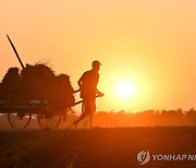 "印서 지난해 매일 468명 극단 선택…일용직노동자·농민이 26%"