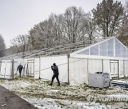 NETHERLANDS MIGRATION