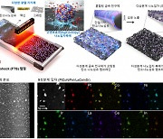 KAIST, 0.02초만에 새 촉매 합성 세계최초 구현