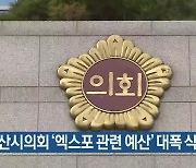 부산시의회 ‘엑스포 관련 예산’ 대폭 삭감