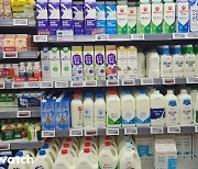 모유와 비슷한 'A2 우유' 뜬다…치열한 경쟁 예고
