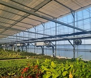 용인특례시, 농림부 사업 선정으로 화훼농가 1곳에 공기열 냉난방시설 지원