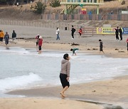 "12월에 반팔입고 해변으로"…제주 낮기온 20도 이상 고온