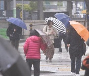 내일 전국에 비, 강원 산지엔 많은 눈…정부 대책회의