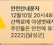 대구 달성군 천내천 화성교 부근서 "멧돼지 3마리 출몰" 신고