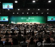 COP28 막판 신경전…산유국, 화석연료 퇴출·감축 공개 반대(종합)