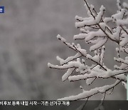 강원북부 산지에 많은 눈…해안은 온종일 비