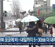 전북 곳곳에 비…내일까지 5~30mm 더 내려