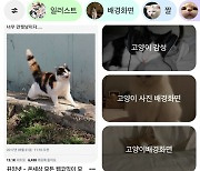 RBC, 핀터레스트 '아웃퍼폼'+ 목표주가도 올려