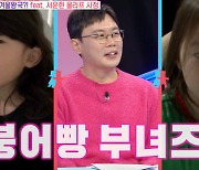 "붕어빵부녀" 안세하 두 딸+으리으리한 테라스家 최초공개 ('동상2') [종합]