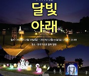 '한국가요촌 달하서 멋진 크리스마스를'…야간 경관 조명 불빛쇼